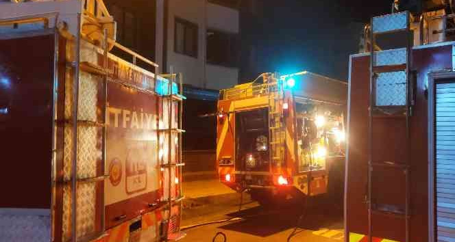 Altınova’da baca yangını korkuttu