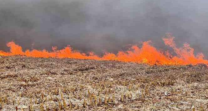 Mardin’de anız yangını gökyüzünü dumana bürüdü