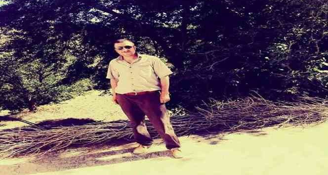 Mardin’de at arabasından düşen kişi hayatını kaybetti