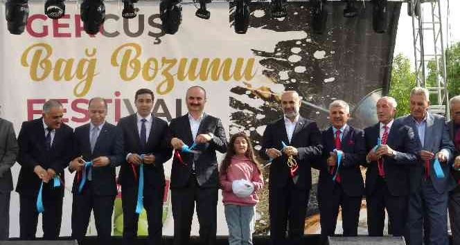 Gercüş’te bağ bozumu festivali düzenlendi