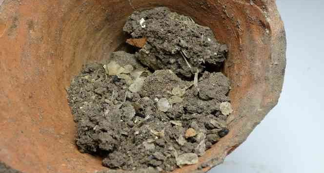 1600 yıllık balık kılçığı ve pulları bulundu