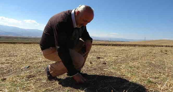 Dr. Dölek, Muş’un 2012’den 2050 yılına uzanan sıcaklık ve yağış trendlerini analiz etti