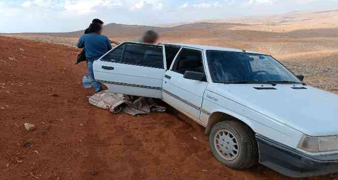 Tuzakla şahin avlayan 2 şahsa 25 bin lira ceza