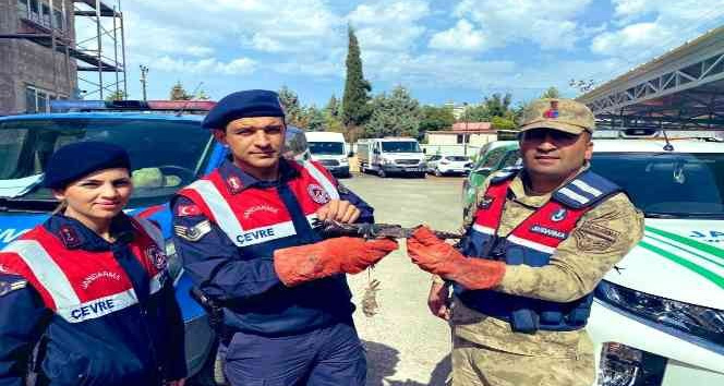 Yaralı bulunan atmaca koruma altına alındı