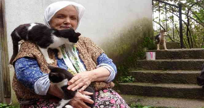 Çocuk sevgisini kedilerde buldu