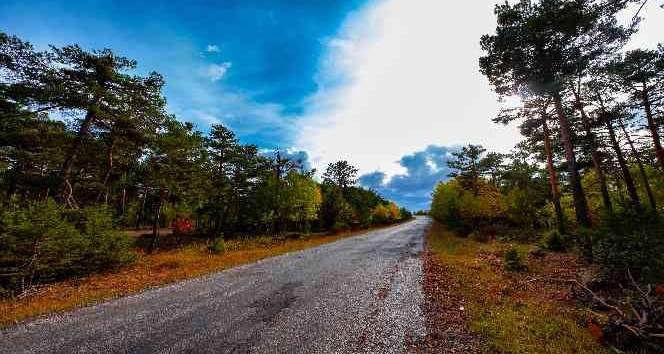 Akdağmadeni ormanında güz renkleri göz kamaştırıyor