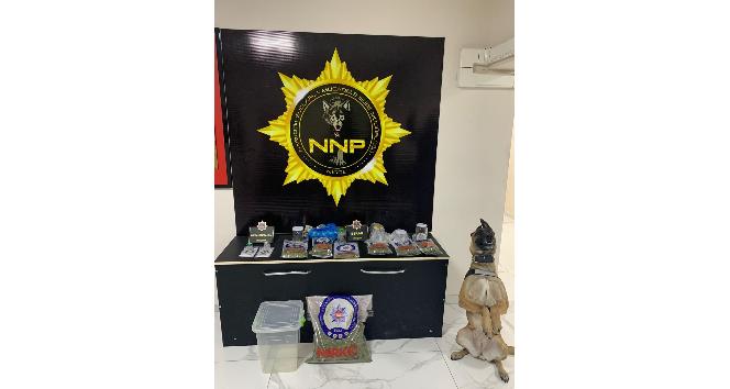 Narkotikten 3 ayrı yere baskın: 1 gözaltı