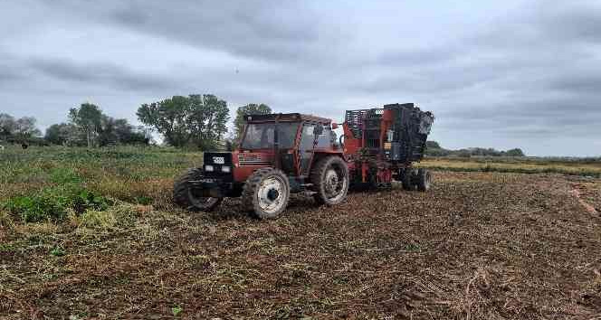 Biga’da 7 yıl sonra pancar hasadı başladı