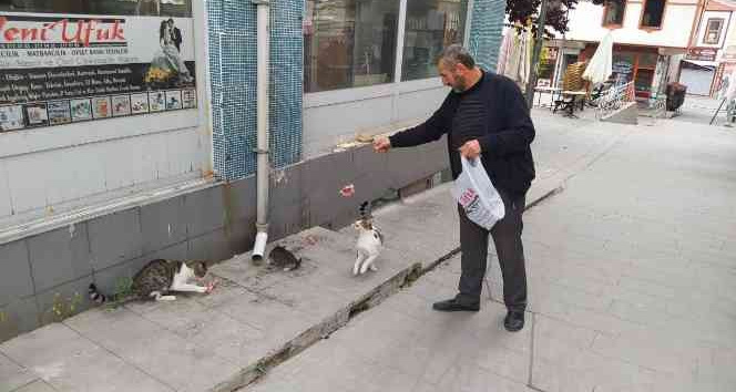 Her sabah iş yerini açmadan sokak kedilerini besliyor