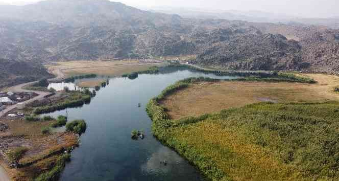 Ağrı Dağı Milli Parkı’nda sonbahar güzelliği