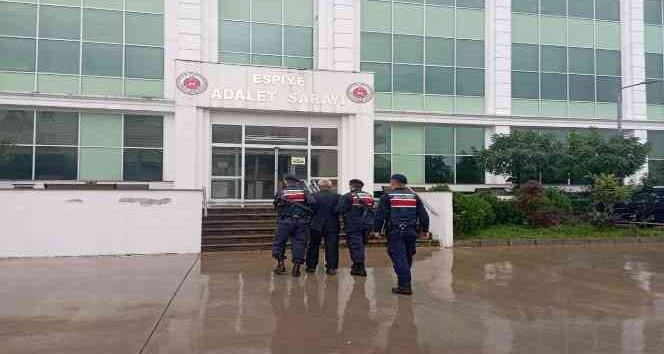 Giresun’da, hakkında 5 yıl hapis cezası bulunan şahıs yakalandı