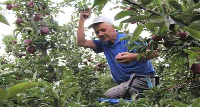Isparta’da elma üretiminin ekonomiye katkısı 2,5 milyar TL oldu