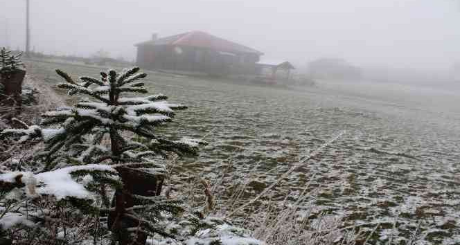Ordu’ya mevsimin ilk karı yağdı