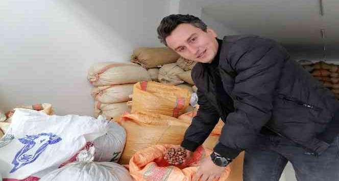 Fındık fiyatı 47 liralarda dengelendi