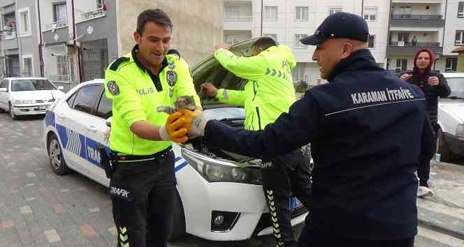 Otomobile ve polis aracının motoruna giren kediyi çıkartmak için seferber oldular