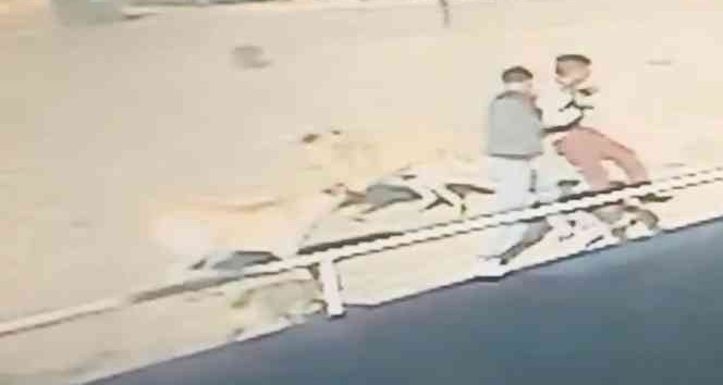 Edirne’de sahipsiz köpeklerin çocuğa saldırma anı kamerada