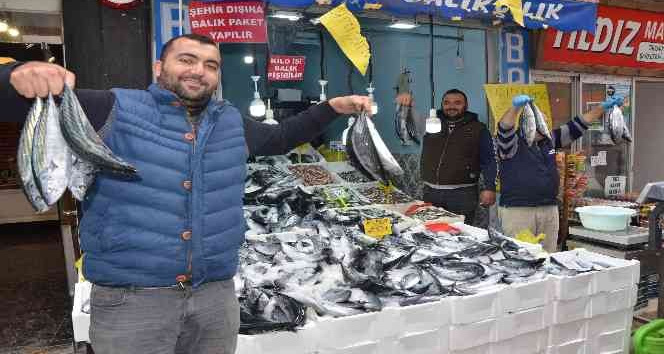 Karadeniz’de palamut bereketi: 3 tanesi 100 TL