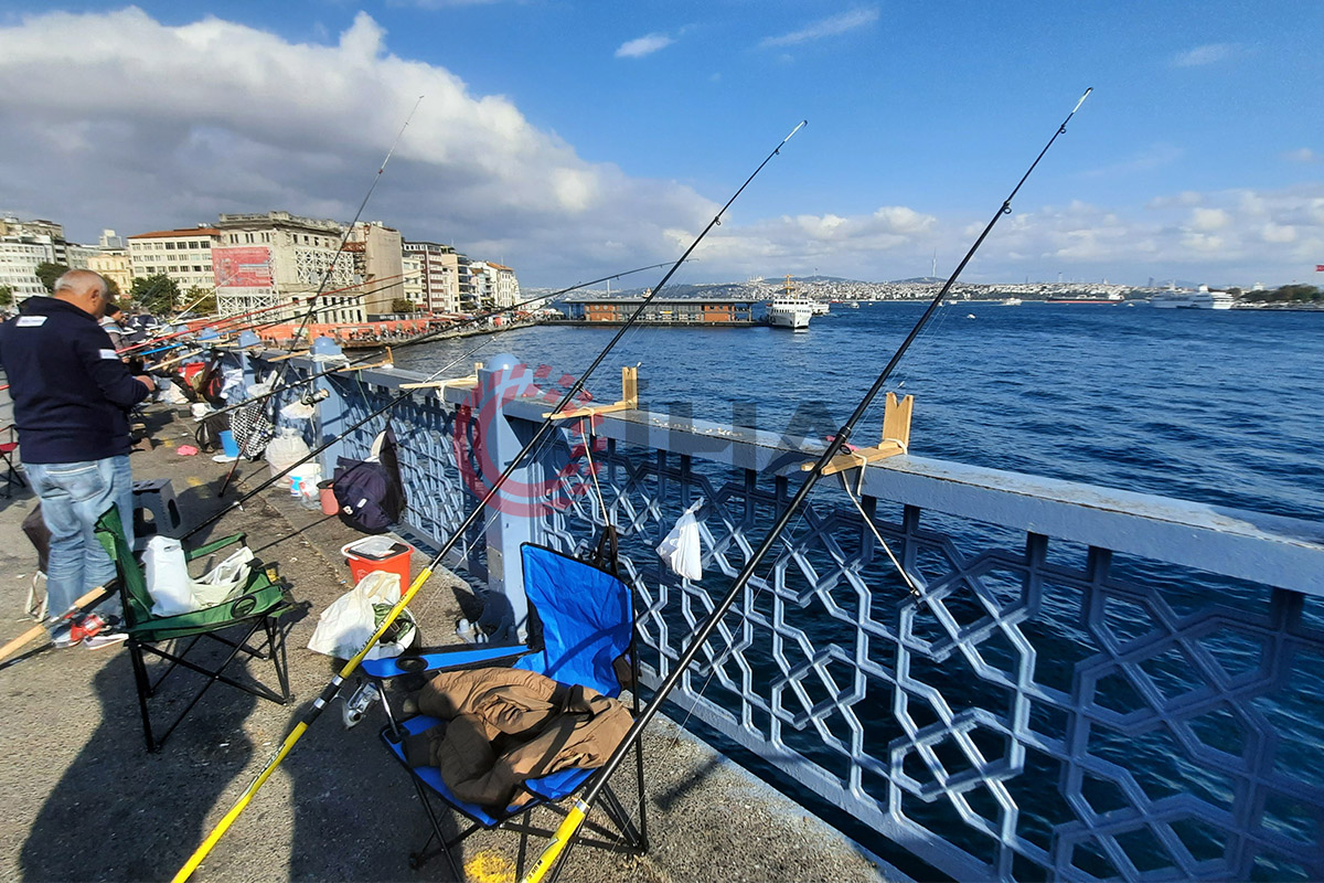 Marmara Denizi için tehlike çanları çalıyor: &#039;İstilacı türler kapıda&#039;