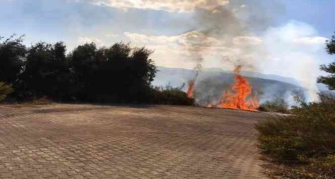 Temizlik amaçlı yakılan çalılar tehlikeye davetiye çıkardı