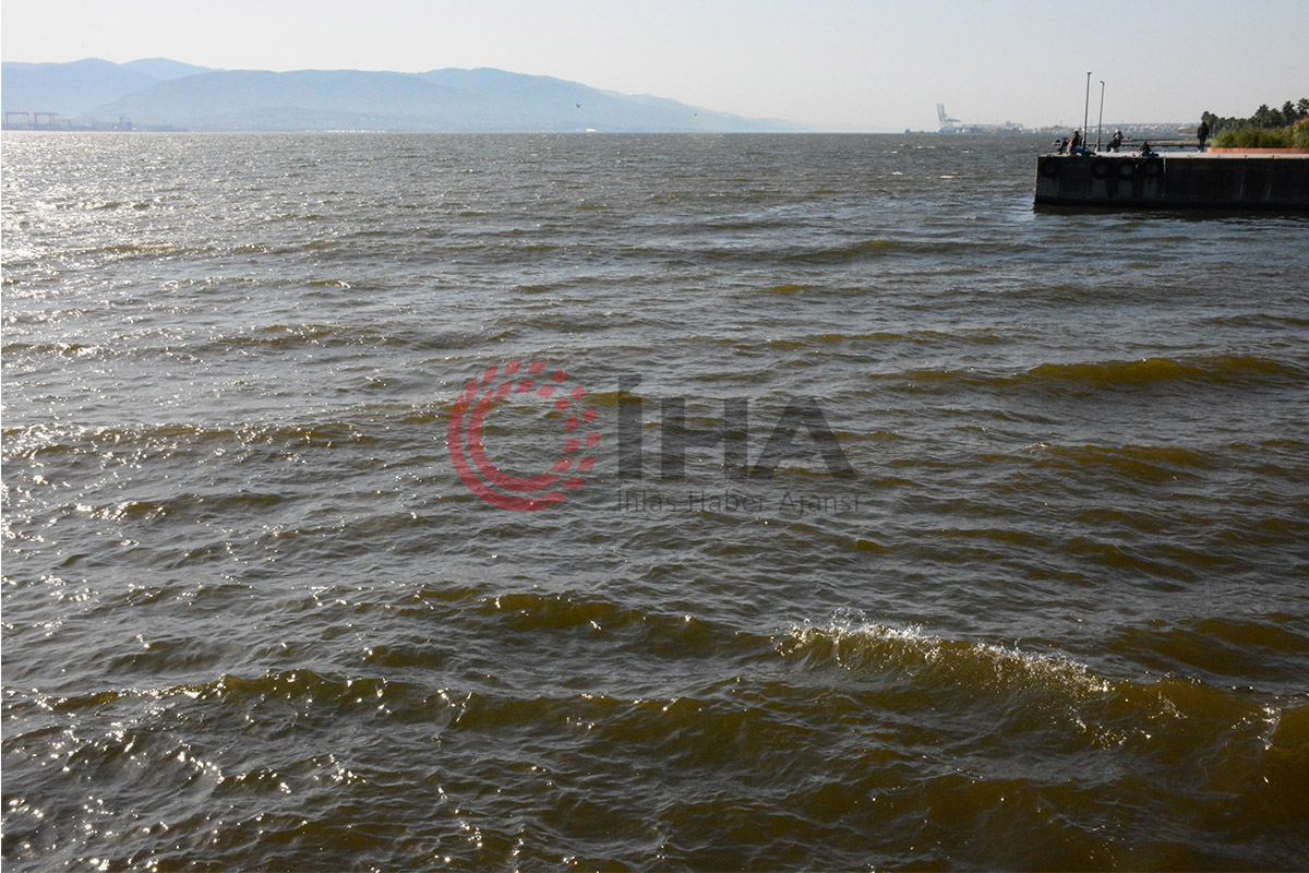 İzmit Körfezi'nde renk değişikliği