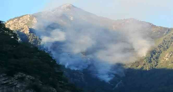 Sarp arazide çıkan orman yangınını söndürme çalışmaları sürüyor