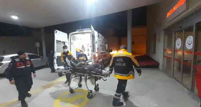 Kaçak göçmenler yol kenarında bulundu