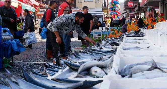 Yer gök palamut: Tanesi 100 TL’den satılıyordu bugün 3 tanesi 100 TL