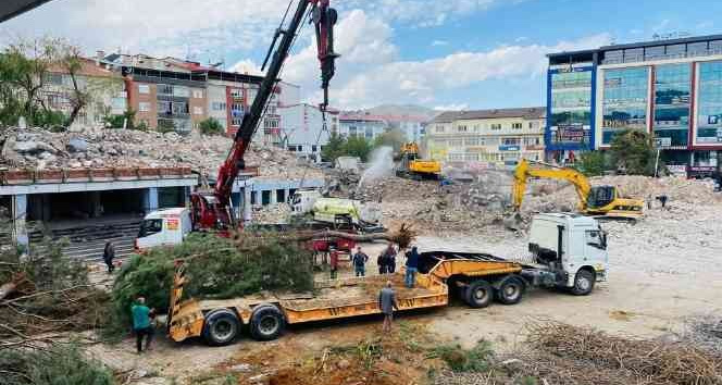 Kent Meydanının yapılacağı alandaki ağaçlar naklediliyor