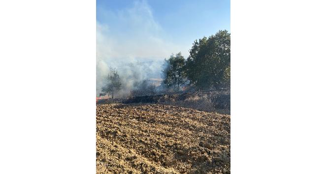 Yol kenarına atılan izmarit yangın çıkardı