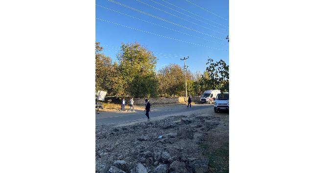 Ceviz toplarken elektrik akımına kapılan şahıs hayatını kaybetti