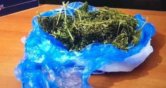 Ordu’da yağ bidonu içerisinde uyuşturucu madde ele geçirildi