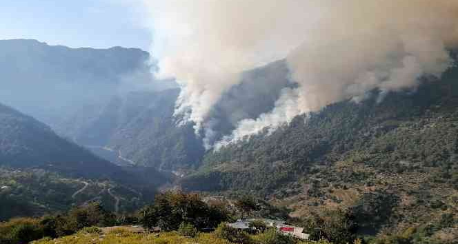 Osmaniye’deki orman yangınına karadan müdahale başladı