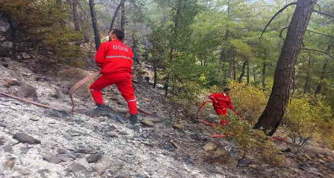 Kontrol altına alınan orman yangınında soğutma çalışmaları devam ediyor