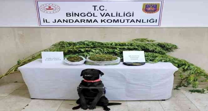 Bingöl’de iki adrese yapılan operasyonda uyuşturucu ele geçirildi
