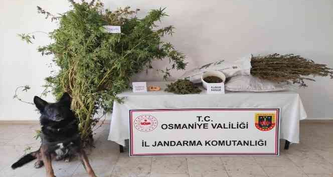 Osmaniye’de uyuşturucu operasyonu