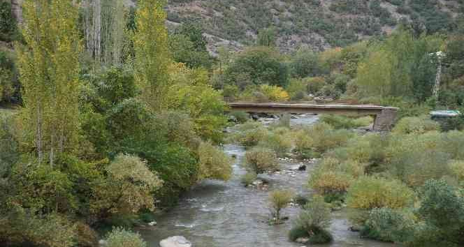 Sonbaharla birlikte Şırnak sarardı, kartpostallık görseller oluştu