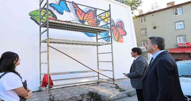 Tokat’ta cadde duvarları renkleniyor