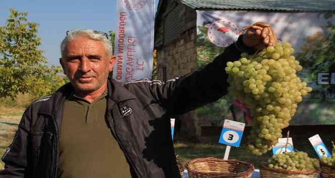 Elazığ’da bağ bozumu etkinliği