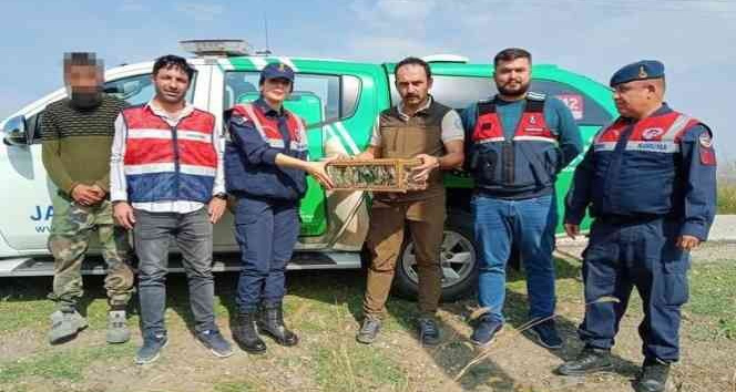 Ağ düzeneğiyle saka kuşu avlayan şahsa 29 bin 627 lira ceza kesildi