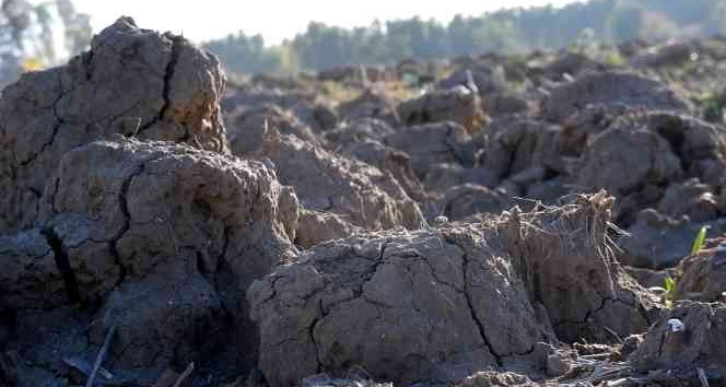 Korkutan rapor korkutan görüntü: Kuraklık toprağı taş gibi yaptı, çiftçi ekim yapamıyor