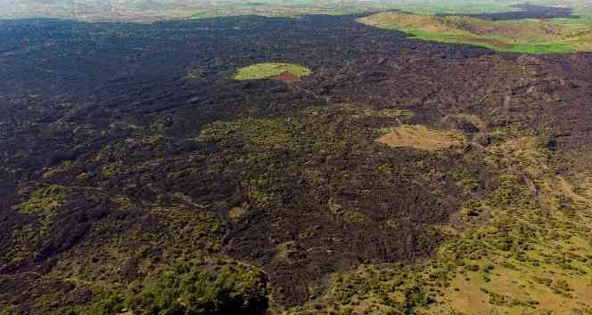 Yanık ülkenin rengi TOGG’u süsleyecek
