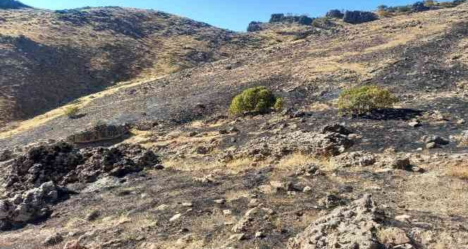 Tunceli’de otluk alandaki yangın kısa sürede söndürüldü