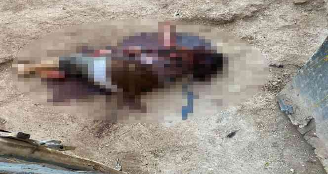 Mardin’de bir evde kadın cesedi bulundu