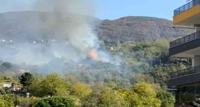 Yerleşim yeri yakınında çıkan orman yangını söndürüldü