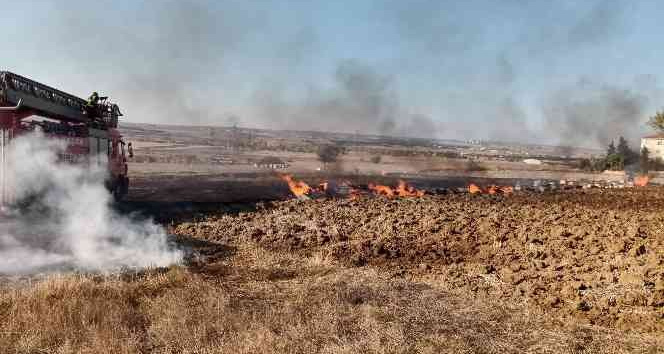 Körüğünü düşüren arıcı çıkan yangında yaralandı