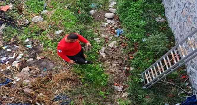 Derede mahsur kalan yavru kediyi itfaiye kurtardı