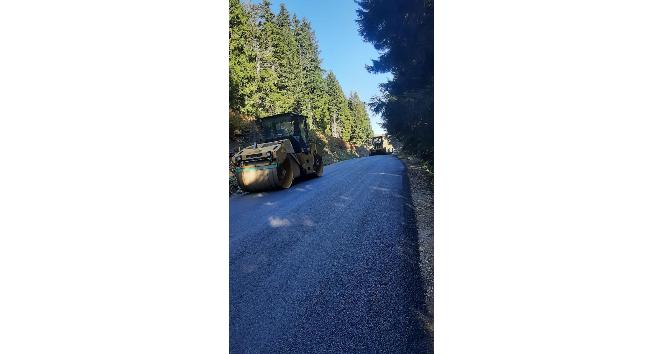 Giresun’da Kulakkaya-Bektaş yayla yolu asfaltlanıyor