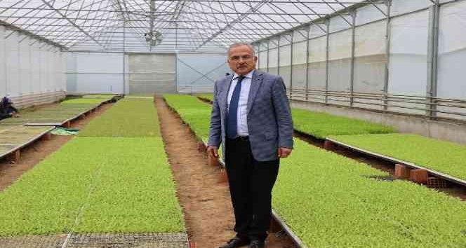 Ordu’nun fide üretim merkezi