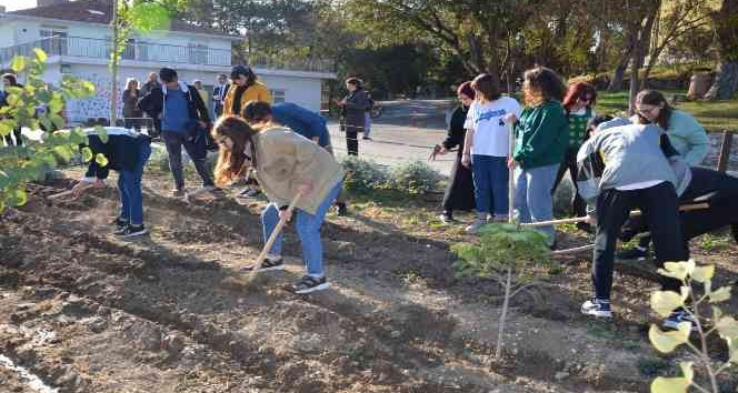 Cumhuriyet Bayramı nedeniyle lale dikimi etkinliği gerçekleşti