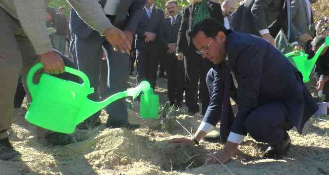 Nevşehir’de 66 bin 660 lavanta toprakla buluştu